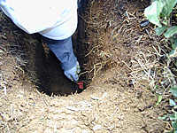 地下部土壌の審査